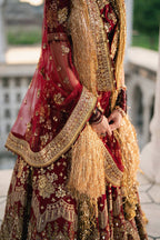 ZARLISH FESTIVE BIA JAAN