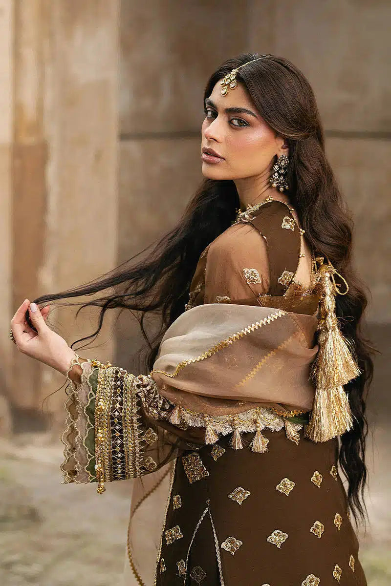 TABEER ZARLISH