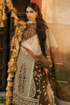 TABEER ZARLISH
