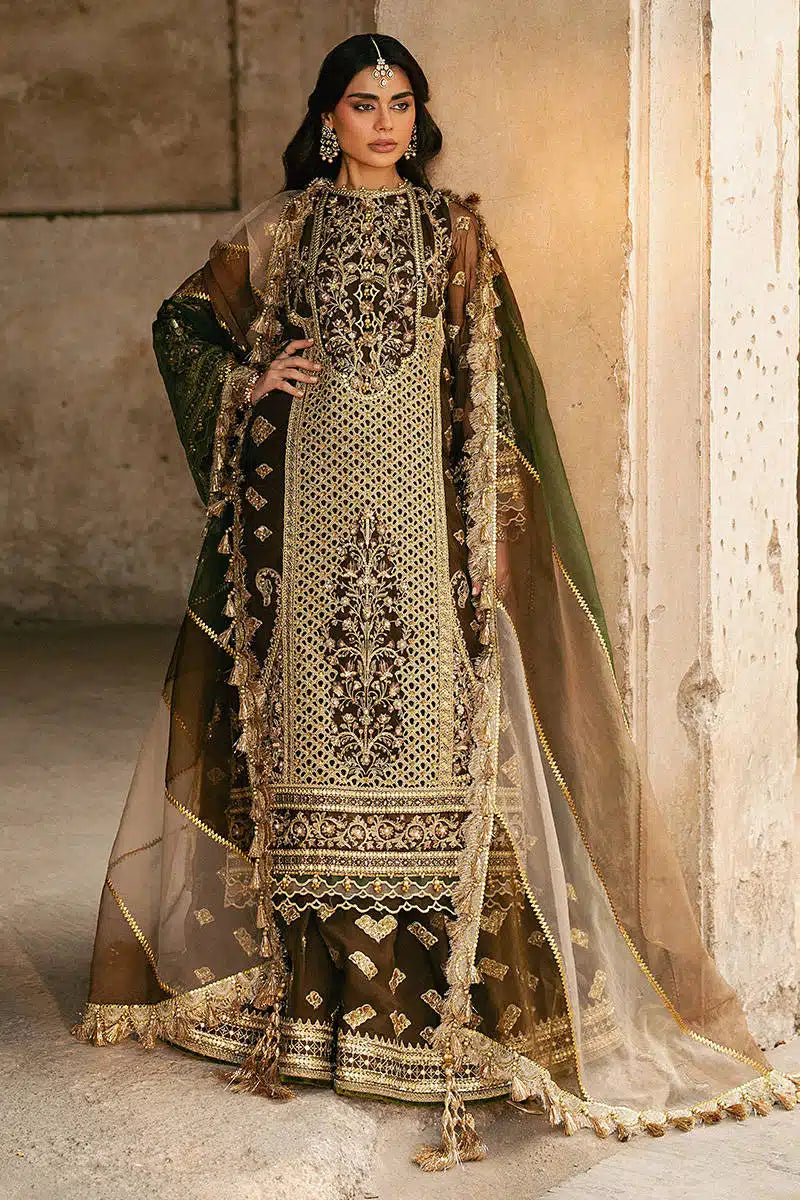 TABEER ZARLISH