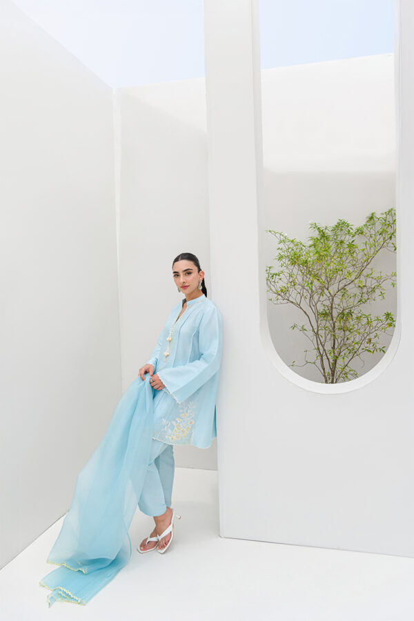 AI-0198 AMNA IQBAL 3PC