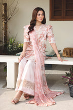 RAAYA ZINNIA FREESIA