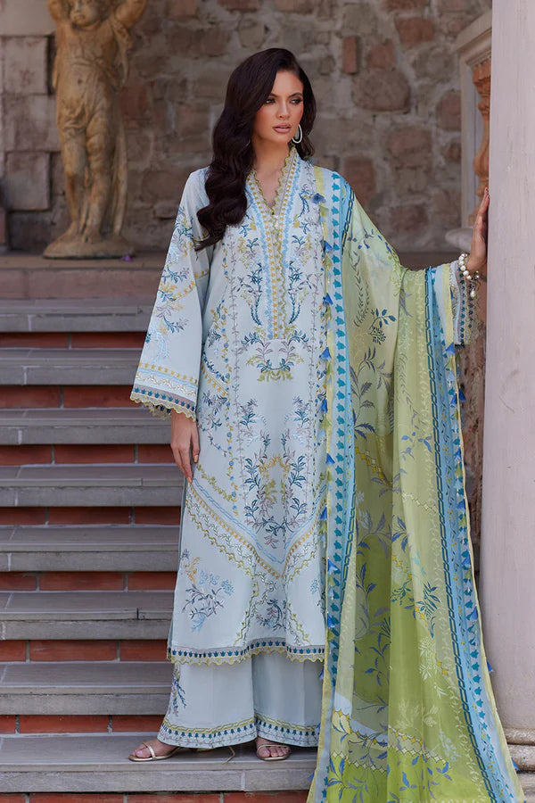 NIDA AZWER OLIVE BRANCH