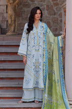 NIDA AZWER OLIVE BRANCH