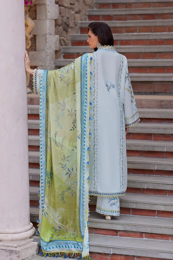 NIDA AZWER OLIVE BRANCH