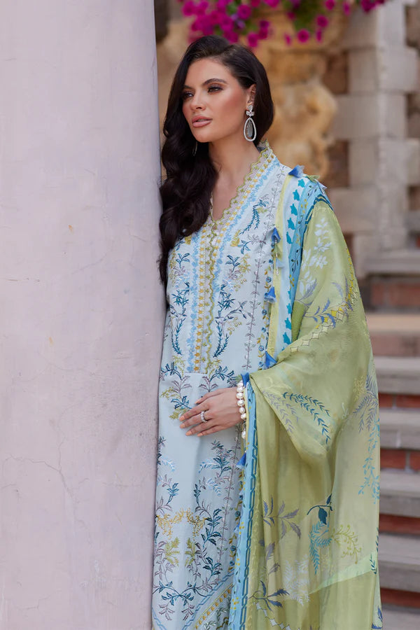NIDA AZWER OLIVE BRANCH