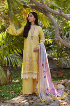 MINA HASAN AYLA