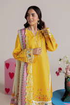 RAJBARI AMAL D-06 3P