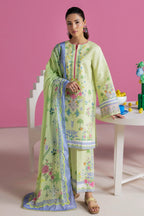 RAJBARI AMAL D-07 3PC