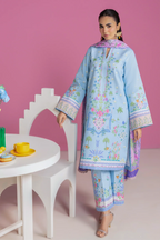 RAJBARI AMAL D-12 3PC