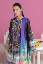 RAJBARI AMAL D-13 3PC