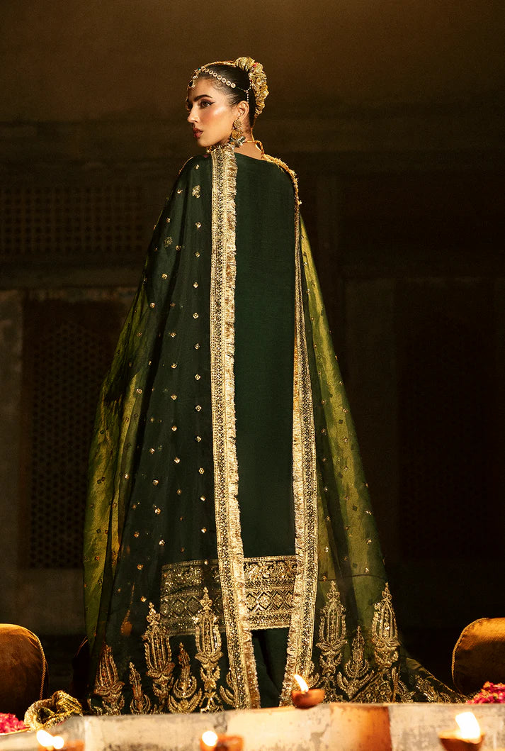 SAAD SHAIKH SINGHAR ZAIB