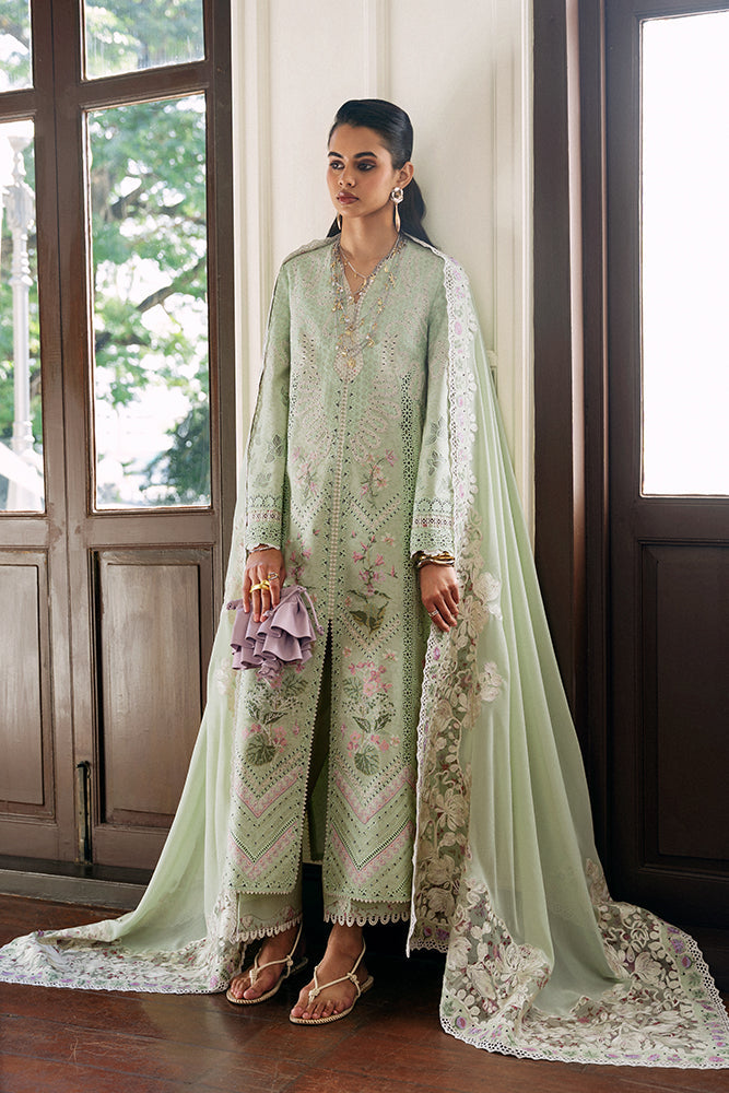 SUFFUSE AREEHA 3PC