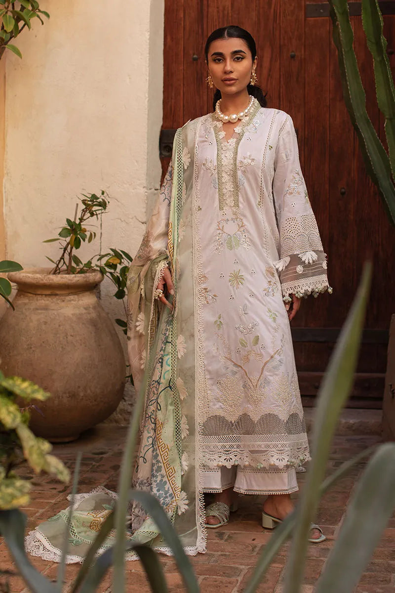 ANSAB JAHANGIR ZOHA BABY'S BREATH
