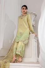 RANG RASIYA LUMEIRE SILK LUCIA