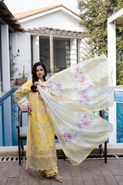GULMINA DIL KASH LUXURY D01
