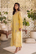 RAJBARI SELENE PREMIUM FESTIVE AYZEL