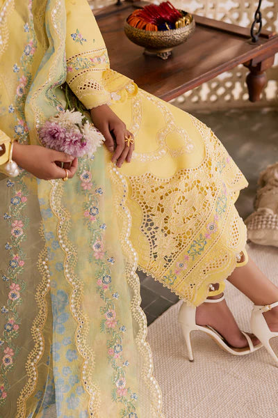 RAJBARI SELENE PREMIUM FESTIVE AYZEL