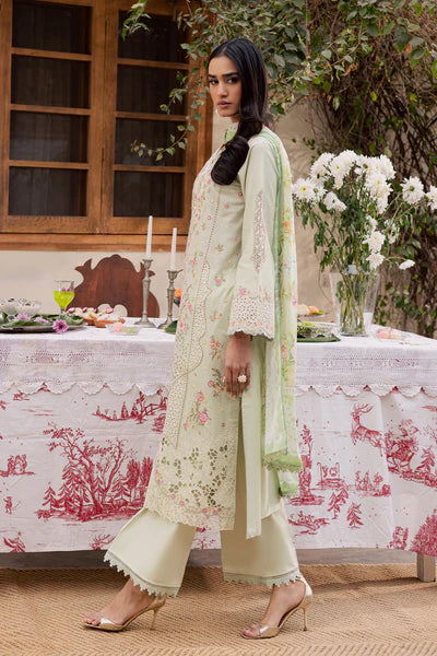 RAJBARI SELENE PREMIUM FESTIVE ELINA