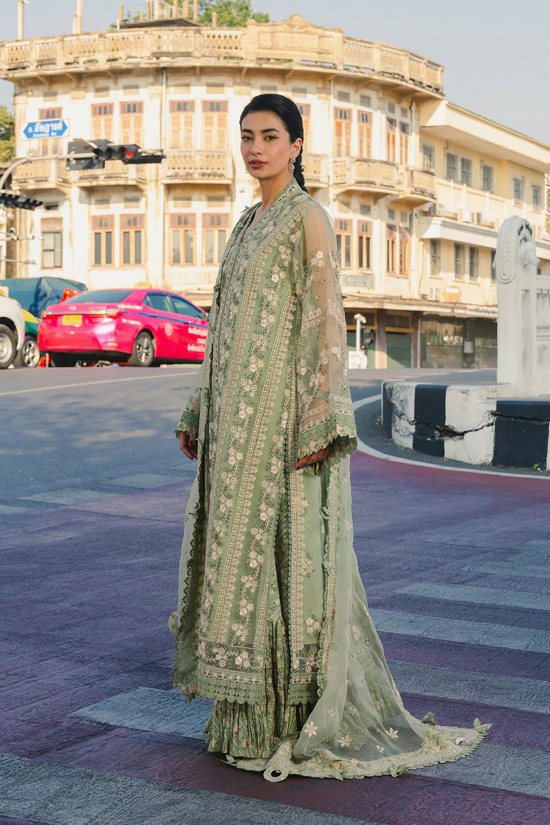 AFROZEH MULAQAAT FESTIVE DEEDAR