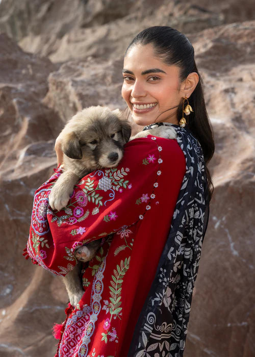 STITCHED BY CC LAAL SIRAA 3PC