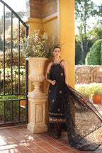 NOOR BY SAADIA ASAD LUXURY SCHIFFLI LASERKARI D5 - B