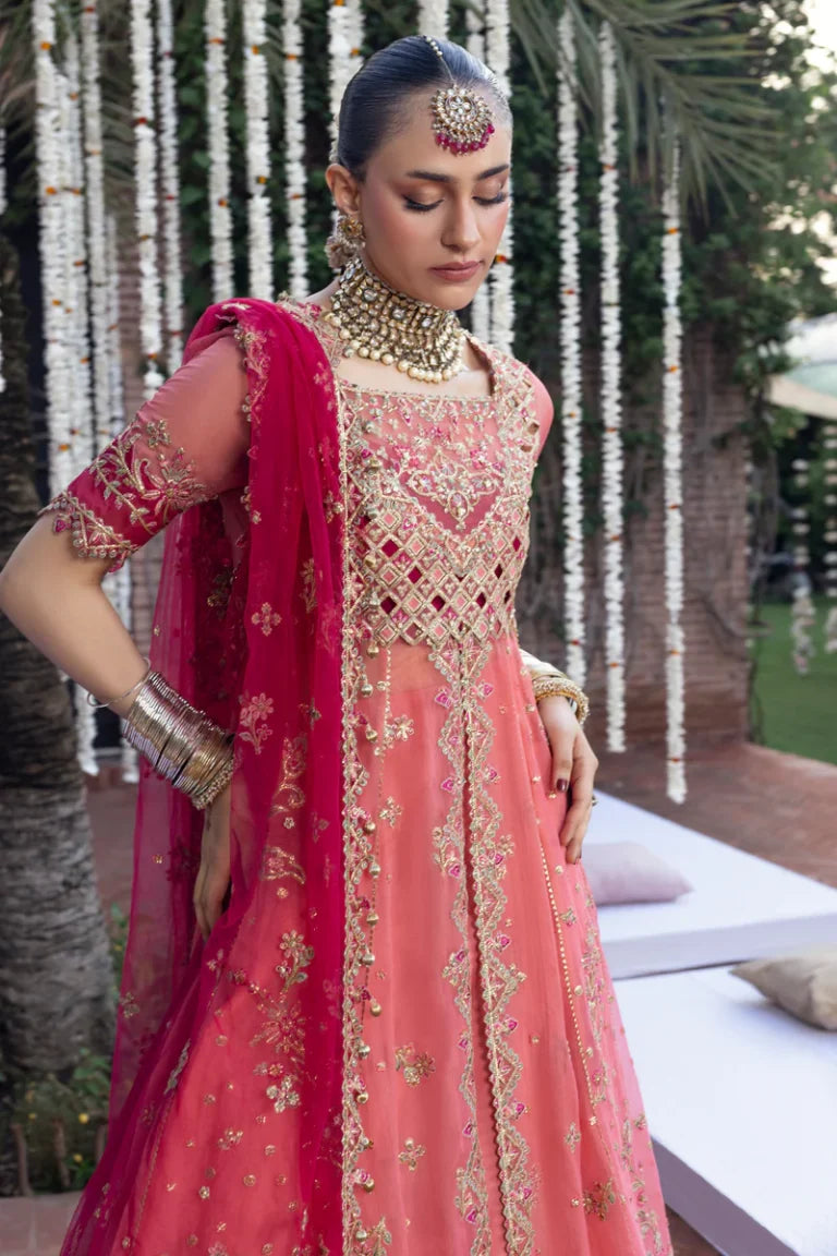RANG RASIYA WEDDING FORMALS NARMEEN