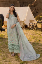 RANG RASIYA PREMIUM D-08