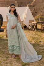 RANG RASIYA PREMIUM D-08