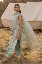 RANG RASIYA PREMIUM D-08