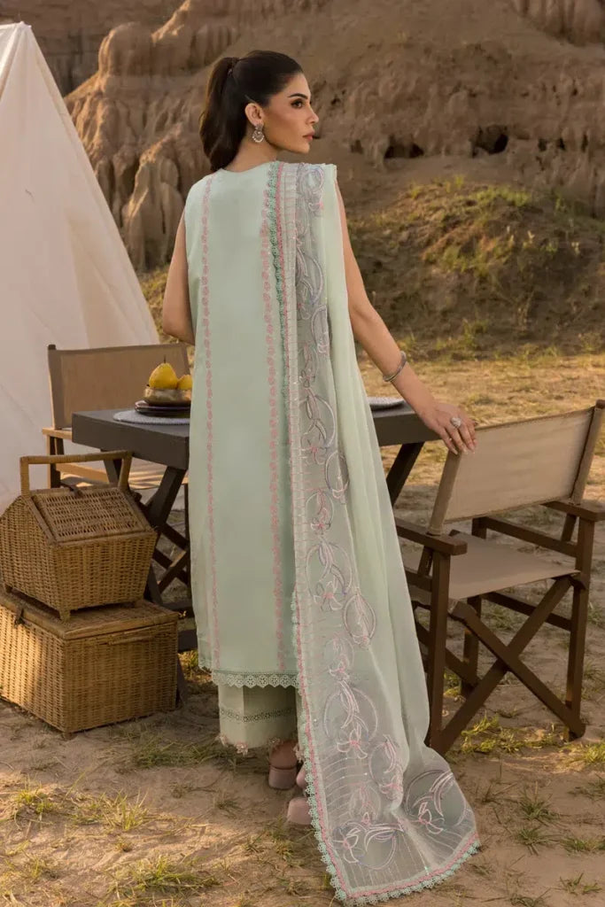 RANG RASIYA PREMIUM D-08