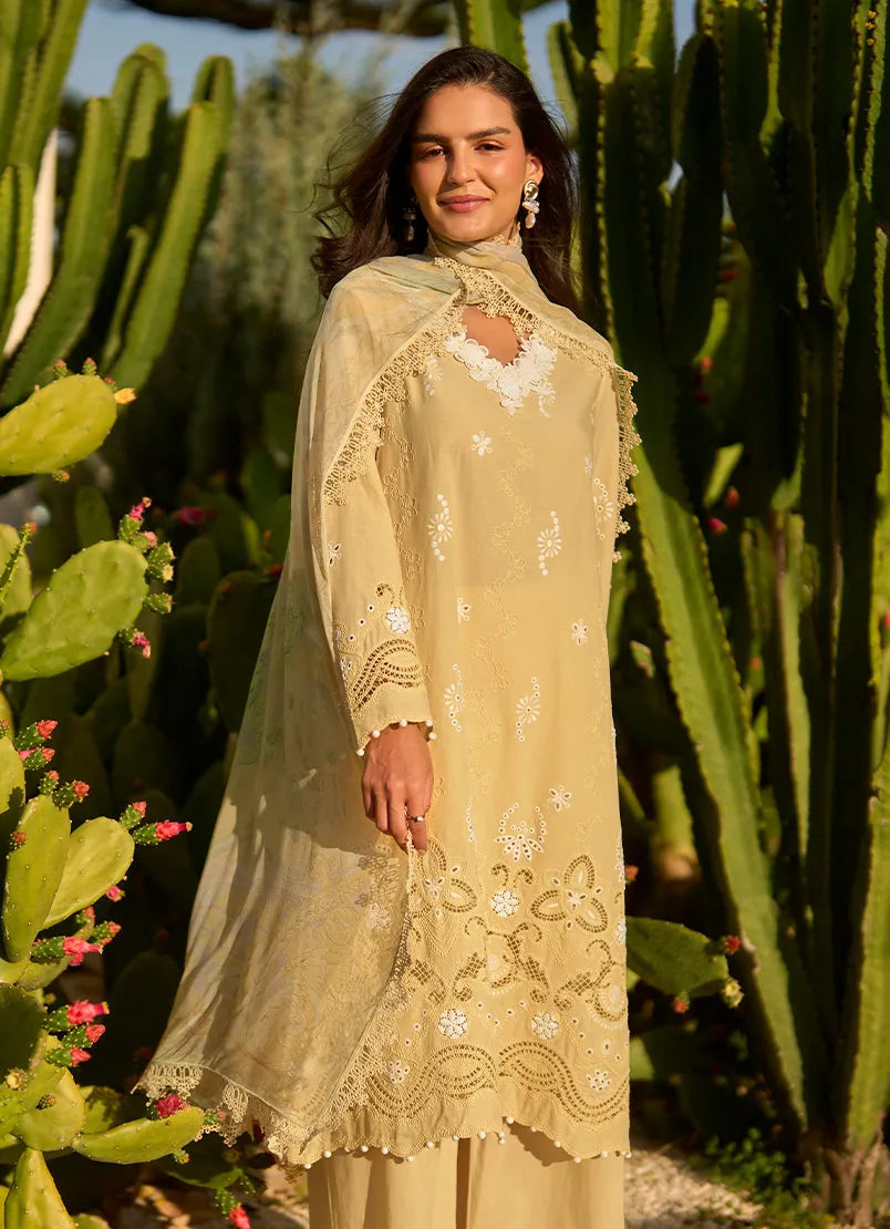 IMAGE LAWNKARI LKSS-D11