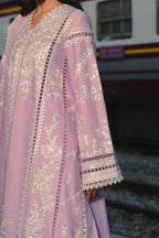 AFROZEH MULAQAAT FESTIVE DILNASHEEN