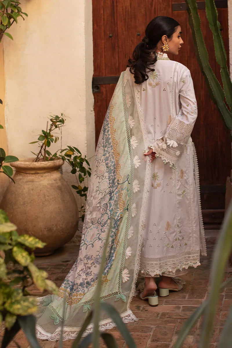 ANSAB JAHANGIR ZOHA BABY'S BREATH