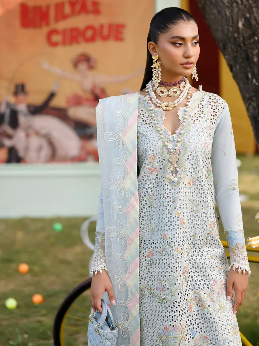 BINILYAS CARNIVAL D-31B