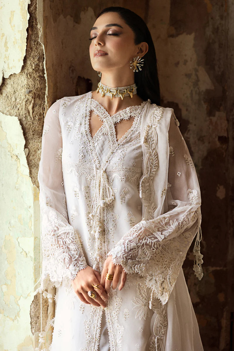 QALAMKAR CHIFFONS WC-03