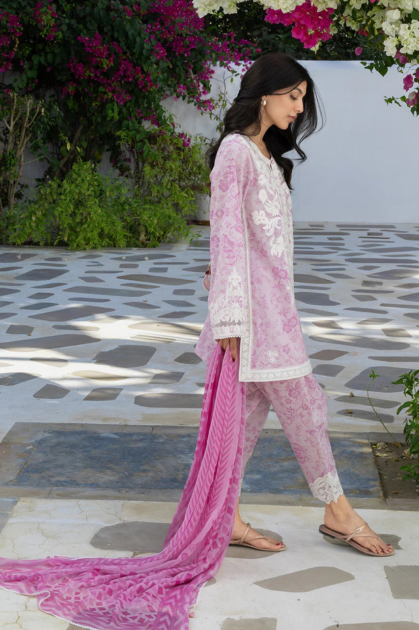 SANIA MASKATIYA RUMI A