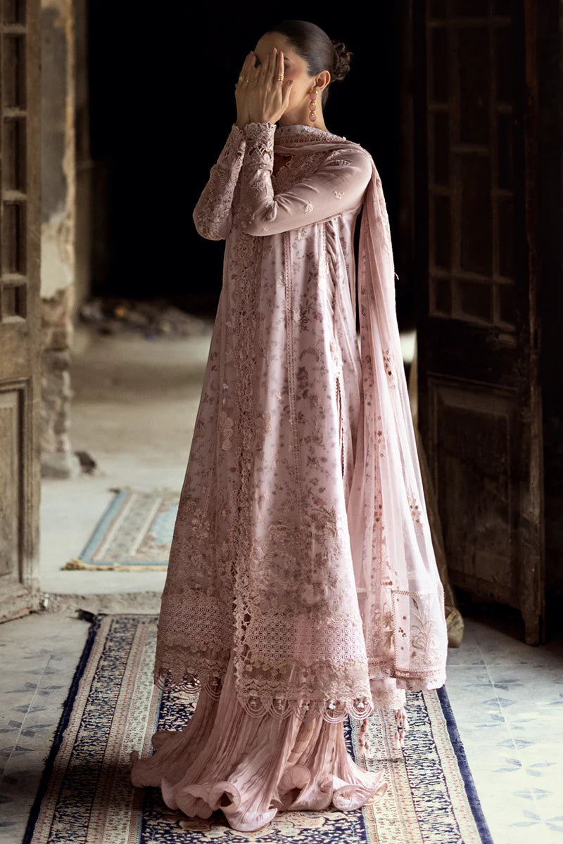 QALAMKAR CHIFFONS WC-05