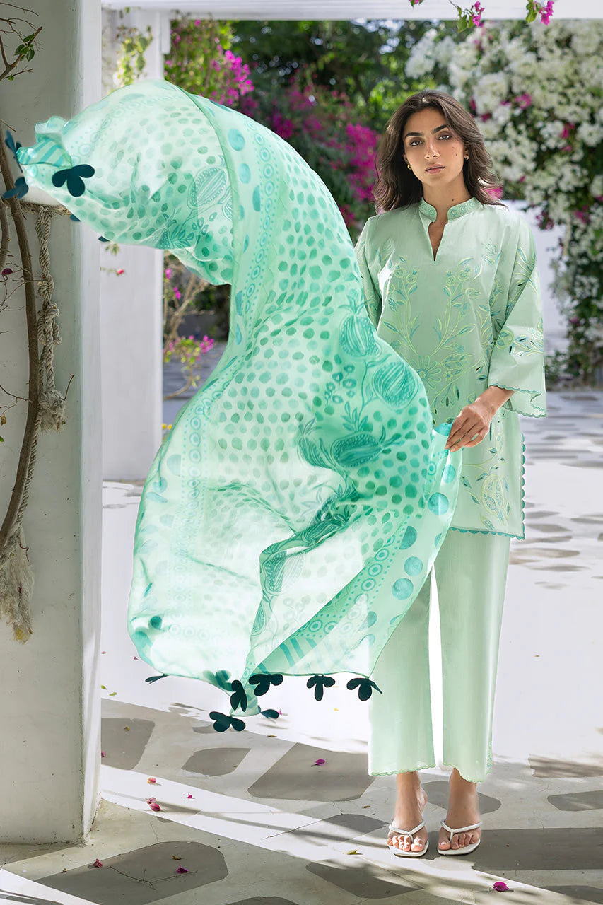 SANIA MASKATIYA REVA A