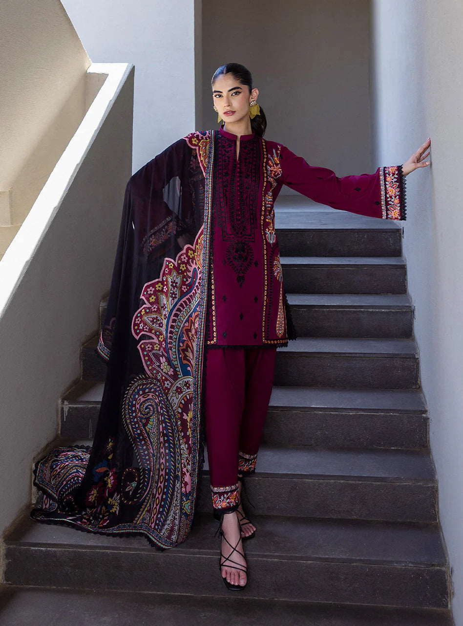 ZAINAB CHOTTANI TAHRA D-12