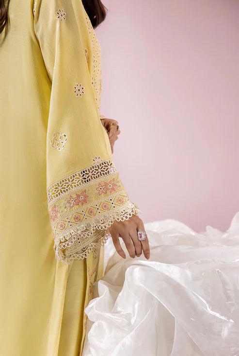 SAAD SHAIKH EID EDIT AMELIA