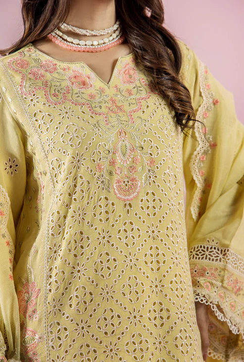 SAAD SHAIKH EID EDIT AMELIA