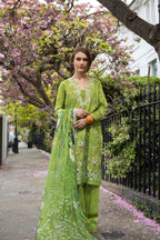 SOBIA NAZIR SN BASICS D-3A