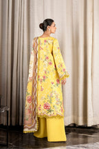 NAQSH MIDNIGHT MEADOW PRIMROSE