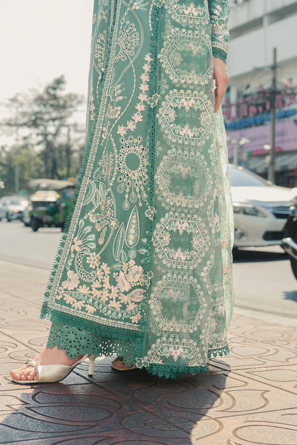 AFROZEH MULAQAAT FESTIVE VASL