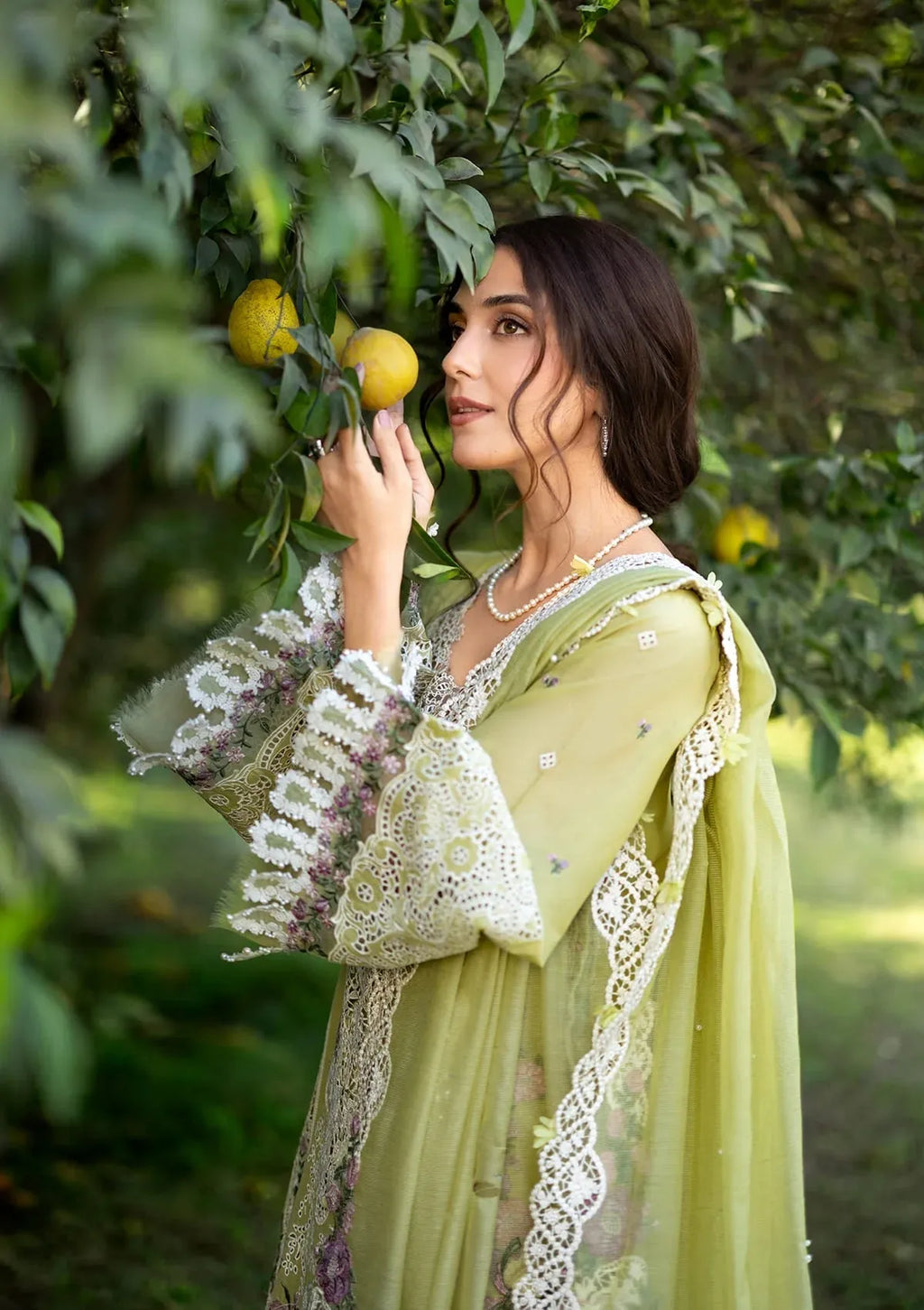 ELAF PREMIUM LUXURY LAWN ELY-08