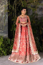 SAAD SHAIKH LUCIA D-1004