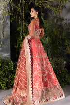 SAAD SHAIKH LUCIA D-1004