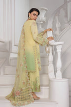 RANG RASIYA LUMEIRE SILK LUCIA