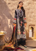 AYLA ANNUS ABRAR